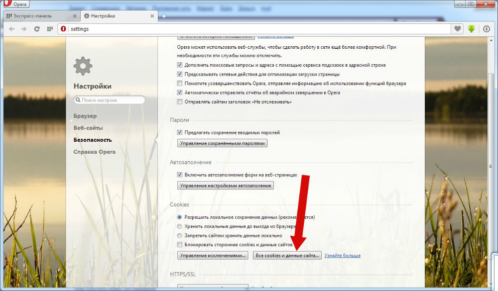 Пример очистки cookies в браузере Opera.