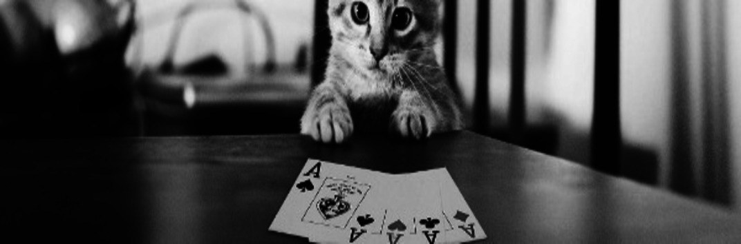 Poker Animals