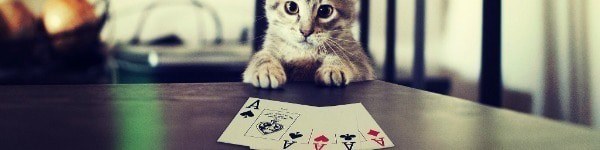 Топ-10 животных в покере