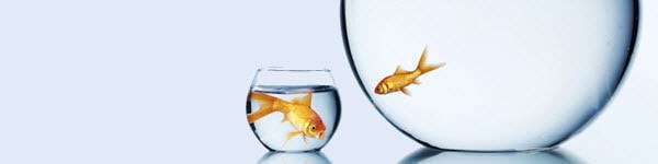 Несоответствие покерной статистики