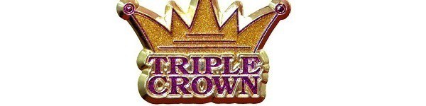 Претенденты на Тройную Корону на WSOP 2013