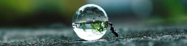 «Темное» прошлое звезд покера