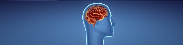 Где заканчивается стрик