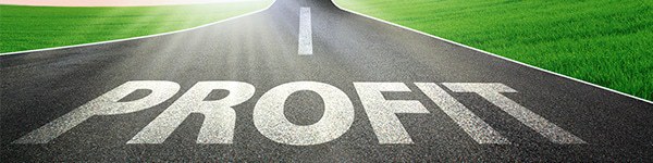 Виктор Блом заработал за 2013 год $586 000