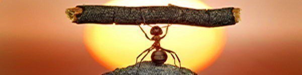 В поисках идеала: неодинаковые бэдбиты