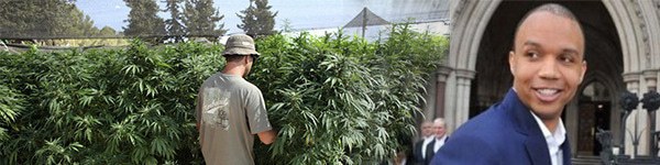 Фил Айви получил разрешение на продажу марихуаны