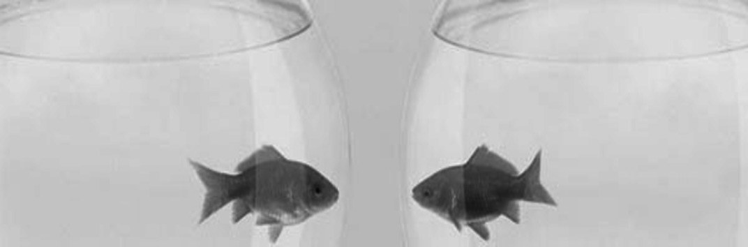 iPoker 1 и iPoker 2 объединяются