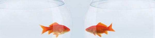 Трафики iPoker 1 и iPoker 2 объединяются в непиковые часы