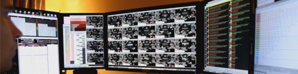 Trueteller добавил в свой банкролл еще $240k