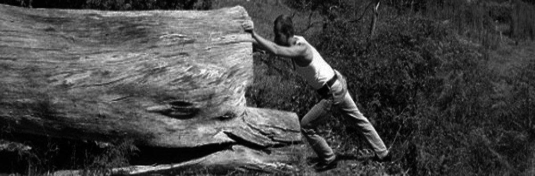 Александр Корсик