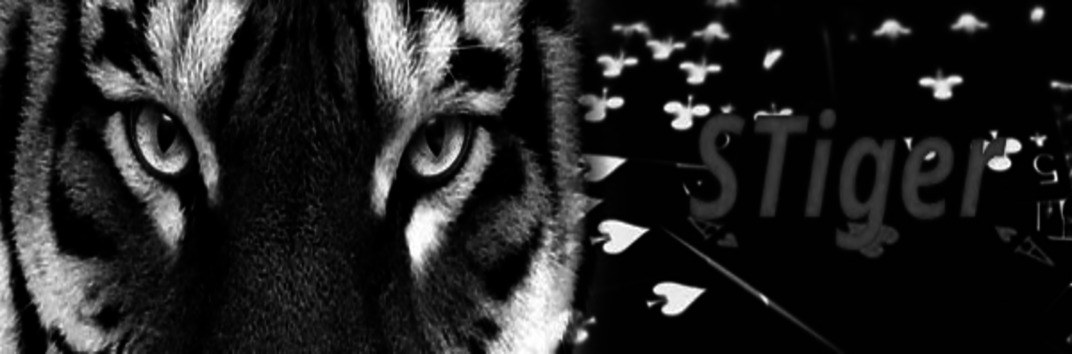 тигр
