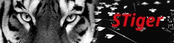 5 минут с покер-про: Андрей “STiger” Новак