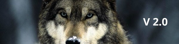 Повторный марафон от “Дукалиса”: $2,5K за 8 дней