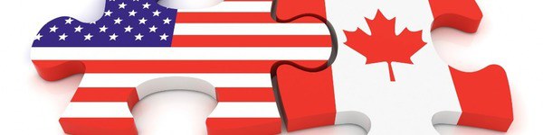 Негреану теперь американец