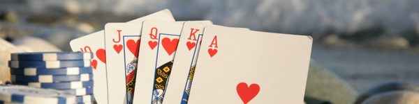 Арена хайстейкс: статистика за неделю, месяц и лето в целом