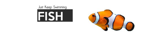 Как заставить фиша коллировать?