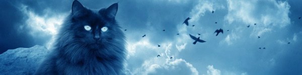 Распространенные приметы в покере