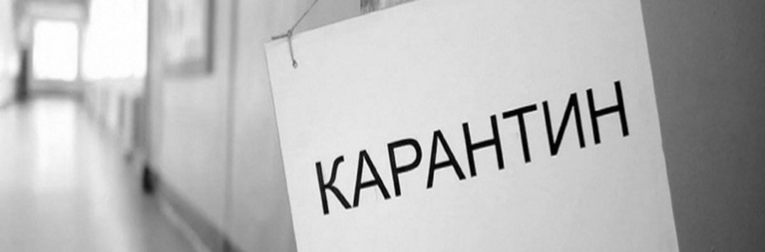 Чем занять себя на карантине