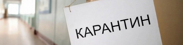 Чем заняться в период карантина помимо покера?