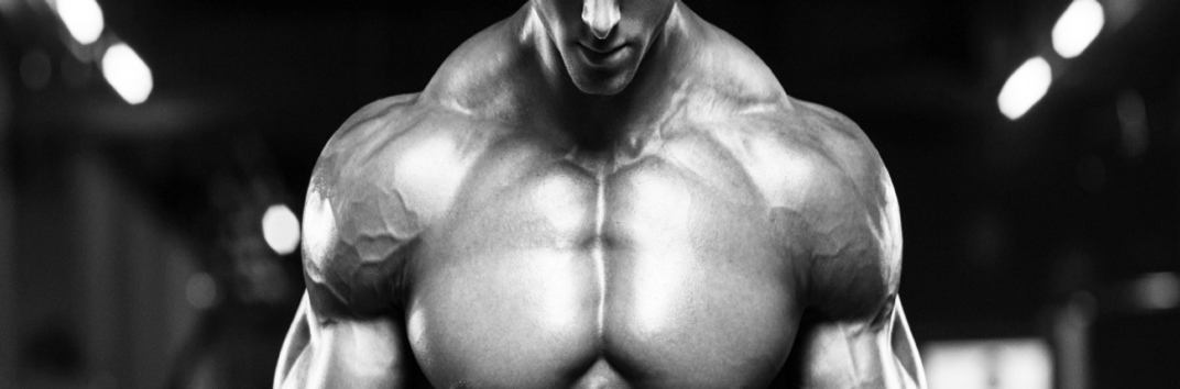 Бодибилдер 2020