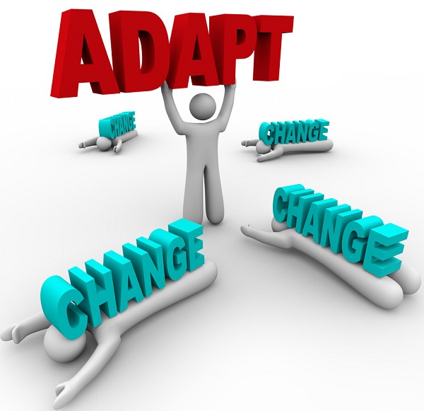 адаптироваться