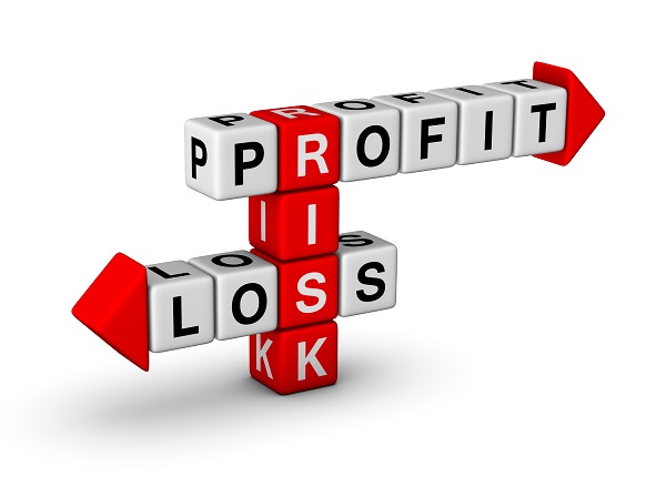 прибыль и риски