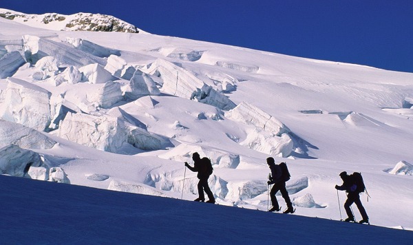 выносливость