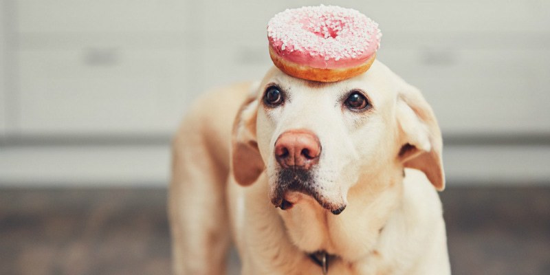 самоконтроль